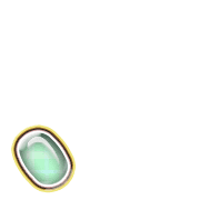256