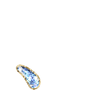 256