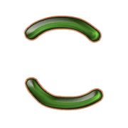 010
