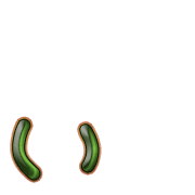 048