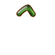 231