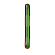 242