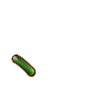 256