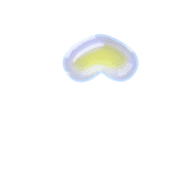 231