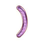 235