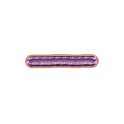 251