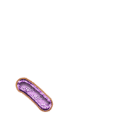256