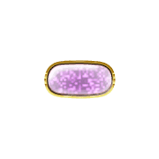 251