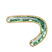 018