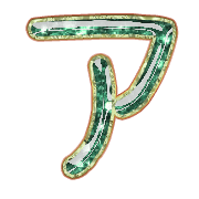 081