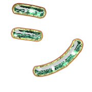 092