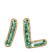 121