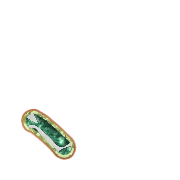 256