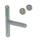 150