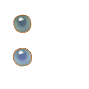 244
