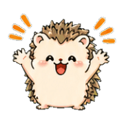 016
