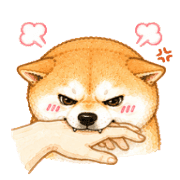 013