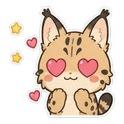 004