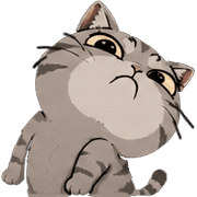 031