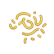 005