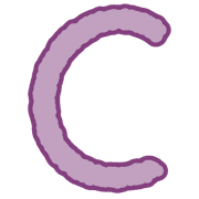 003