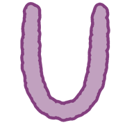 021