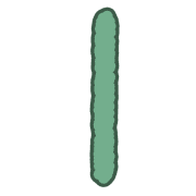 081