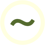 224