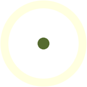 253