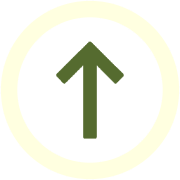260