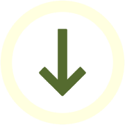 261