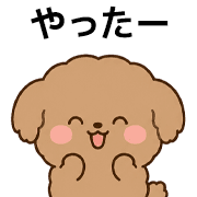 003