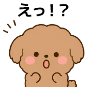 009