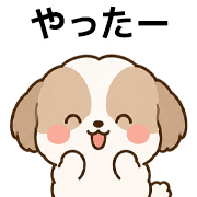 003