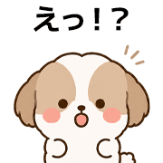 009