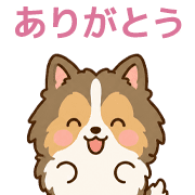 002