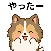 003