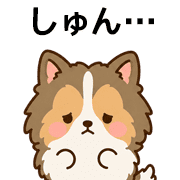 005