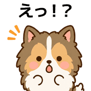 009
