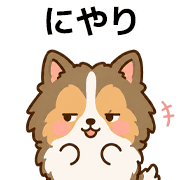016
