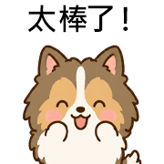 003