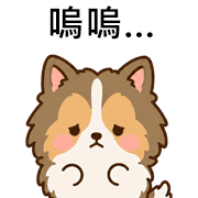 005