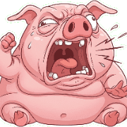 006
