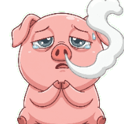 020