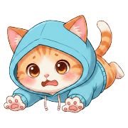 016