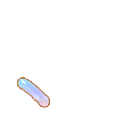 256