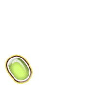 256