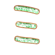 112