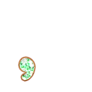 245