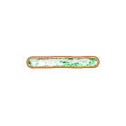 251